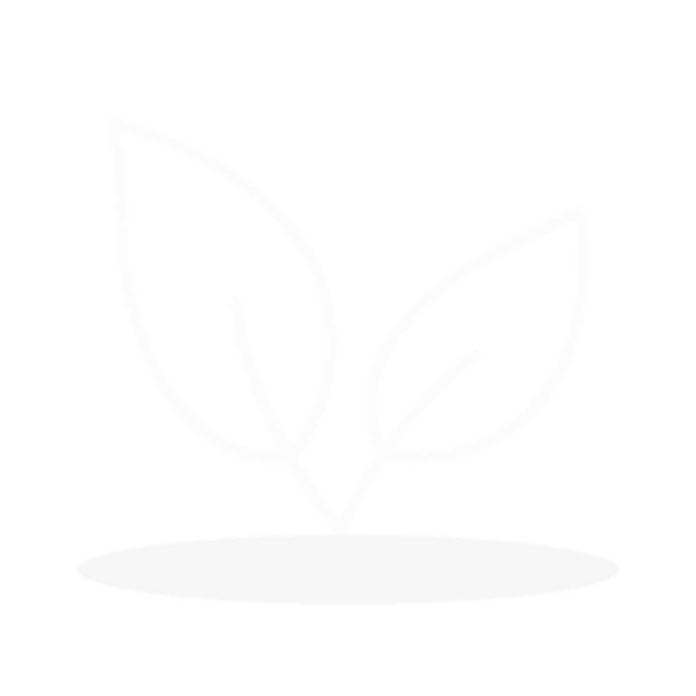 feature-item-4